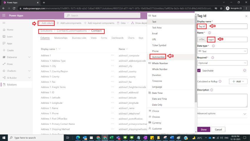 Create Auto Number Field in Dynamics CRM